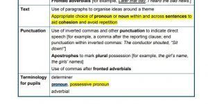 possessive pronoun
